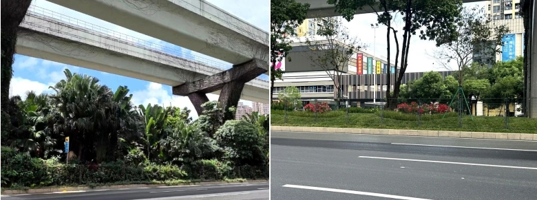 DB콢(й)ٷվ